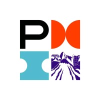 PMI SUR Perú logo