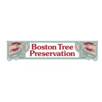 Boston Tree Preservation logo