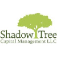 Shadow Tree Capital Management LLC logo