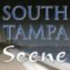 Tampa Title Co logo