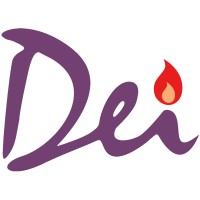 Dei Holdings Pte Ltd logo