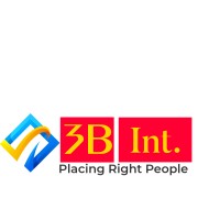 3B International logo