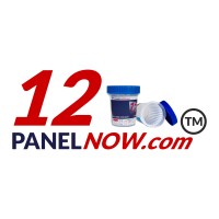 12 Panel Now logo