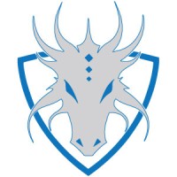 Dragon Fire Tools logo