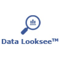 Data Looksee™ logo