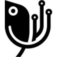 Custom Coding logo