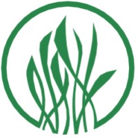 The Sapelo Foundation logo