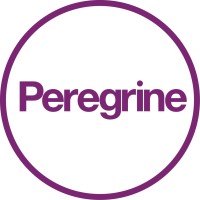 Image of Peregrine Guarding