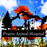 Prairie Animal Hospital - Coeur D'Alene logo