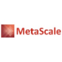 MetaScale LLC logo