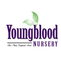 Youngblood Nursery Inc logo