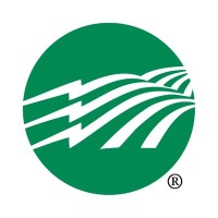 Northern Neck Electric Cooperative logo