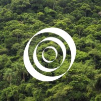 Amazon Investor Coalition logo