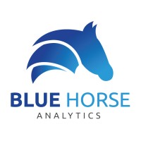 Blue Horse Analytics, LLC logo