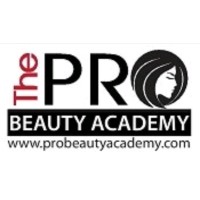 The Pro Beauty Academy logo
