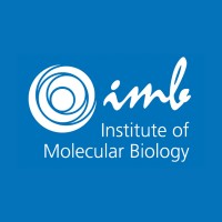 Image of Institute of Molecular Biology (IMB)