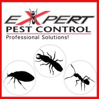 Expert Pest Control logo