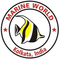 Marine World logo