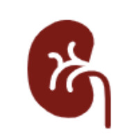 Eugene Springfield Nephrology Associates logo