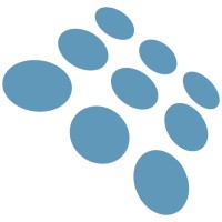 Rise Display / Skybox Fancave logo