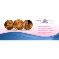 Picture Perfect Imaging logo