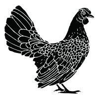 Yardbird logo