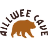 Aillwee Cave Co Ltd logo
