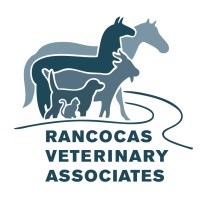 Rancocas Veterinary Associates logo