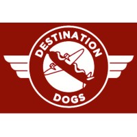 DESTINATION DOGS LLC logo