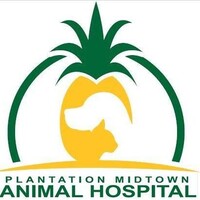 Plantation Midtown Animal Hospital logo