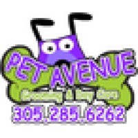 Pet Avenue logo