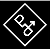 Paul Duesing Partners logo