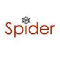 Spider Software Pvt. Ltd. logo