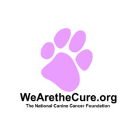 National Canine Cancer Foundation logo