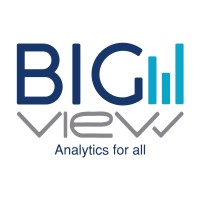 Bigview Analytics logo
