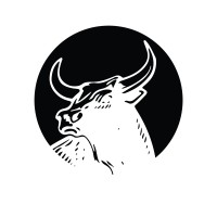Black Bull Capital Partners LLC logo