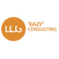 LCG 360°Consulting logo