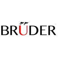 BruderX logo