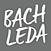 Image of Bachleda Advertising