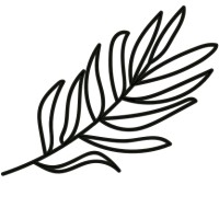 White Fern logo