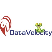 DataVelocity logo
