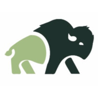 The Bison Group logo