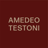 AMEDEO TESTONI logo