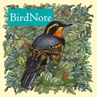 BirdNote logo