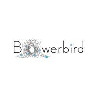 Bowerbird Architects logo