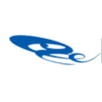 网宿科技 logo