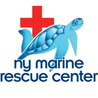 Image of New York Marine Rescue Center