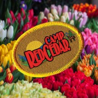 Image of Camp Red Cedar