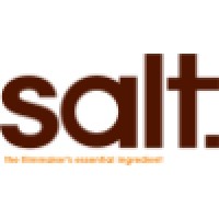 The Salt Company logo