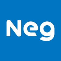 Nippon Electric Glass / NEG logo